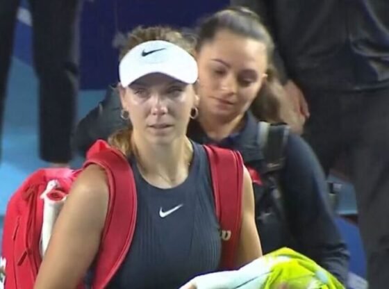 NINTCHDBPICT001034498097