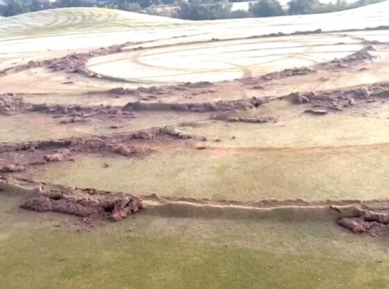 NINTCHDBPICT001038535813