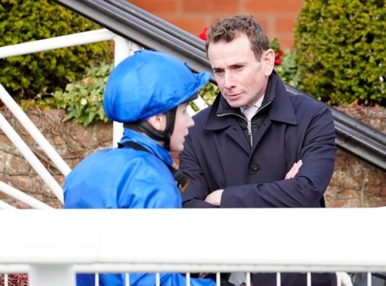 Corridas de Novo Mercado